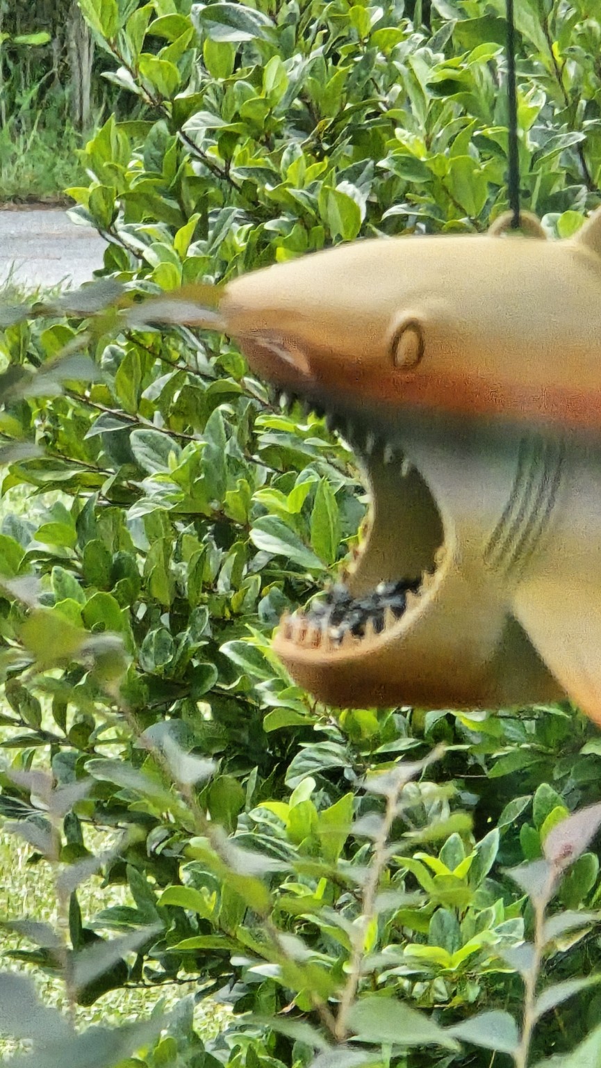 3D printed shark decoration displayed among garden leaves