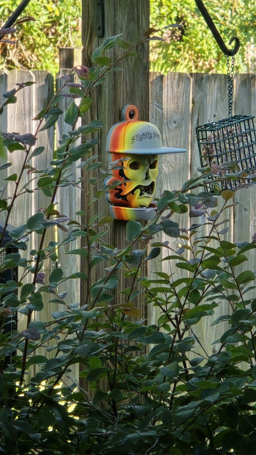 Colorful skull bird feeder hanging in a garden